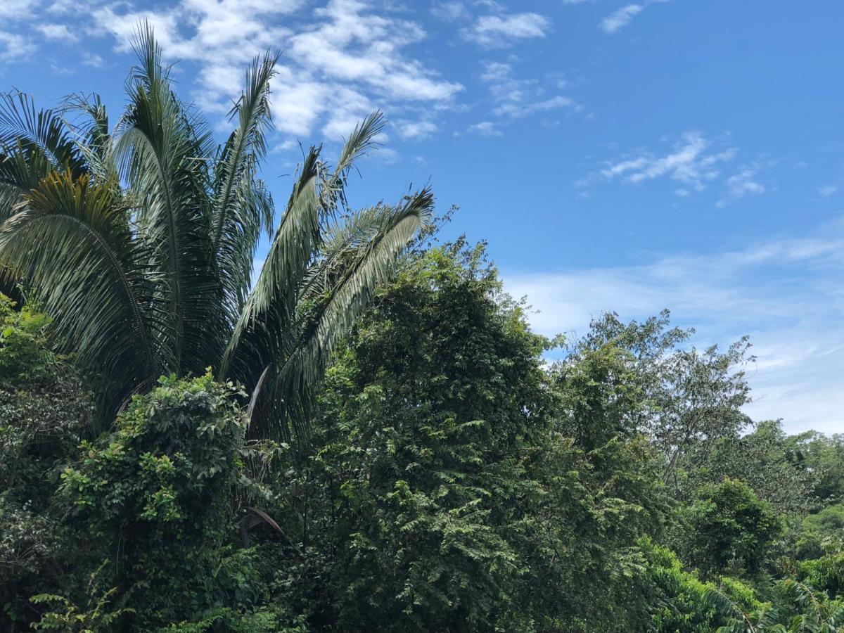 Puesta Del Sol Hotell Quepos Eksteriør bilde