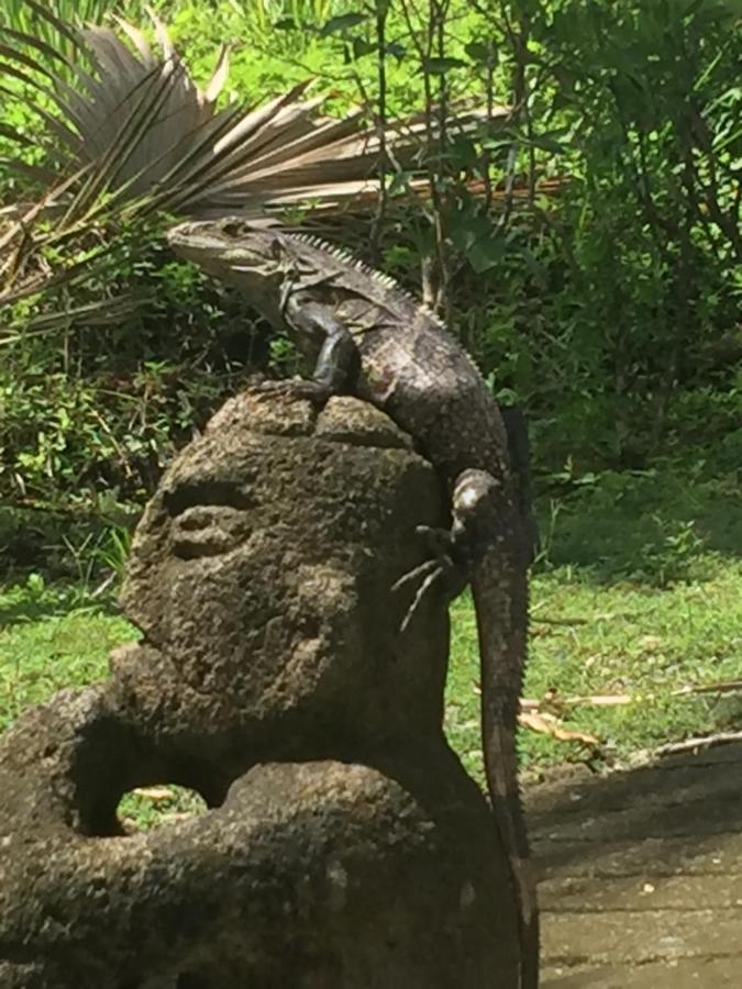 Puesta Del Sol Hotell Quepos Eksteriør bilde