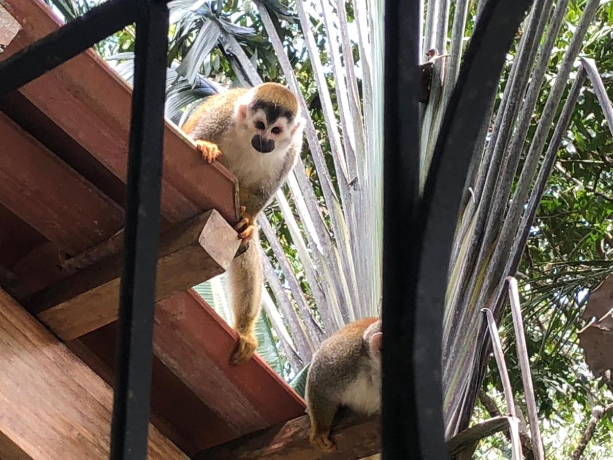 Puesta Del Sol Hotell Quepos Eksteriør bilde