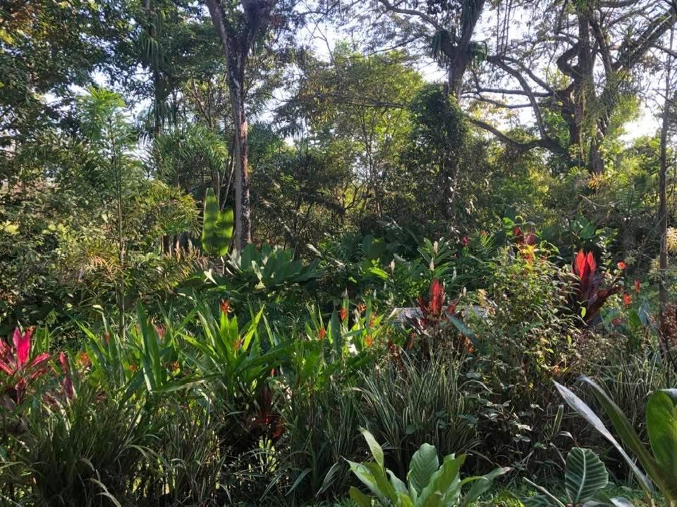 Puesta Del Sol Hotell Quepos Eksteriør bilde
